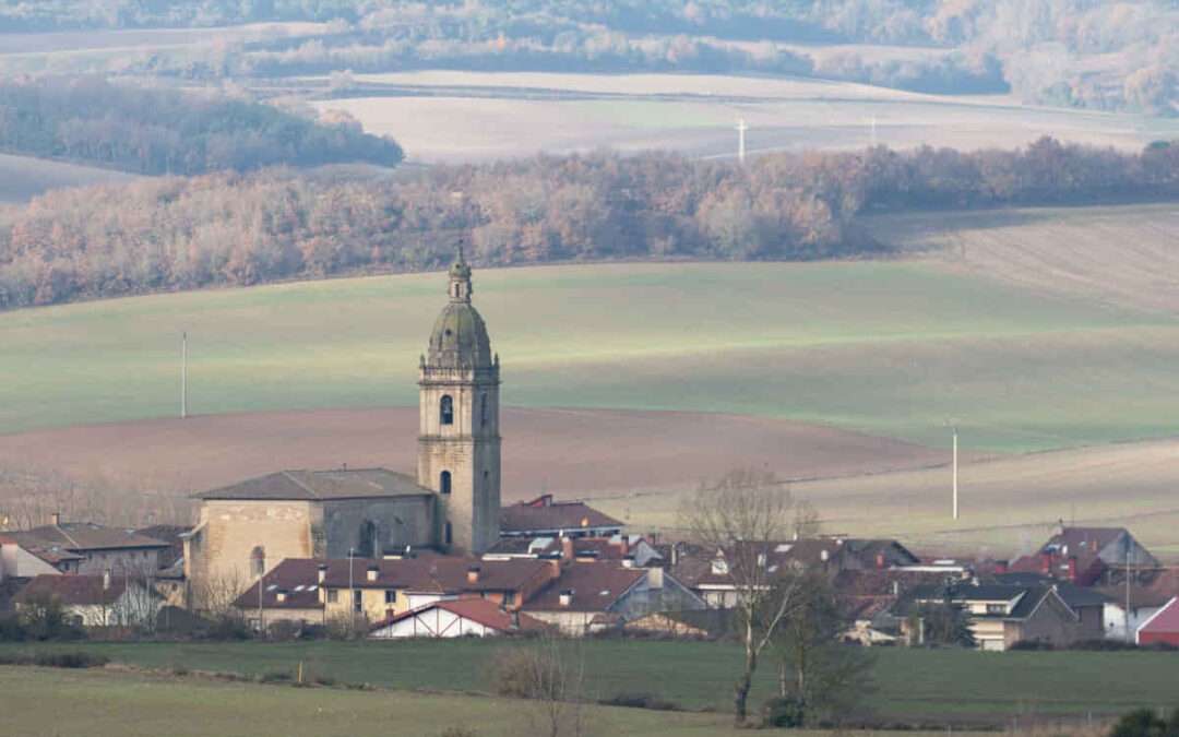Laguntza Trebiñuko Euskara Plana egiteko