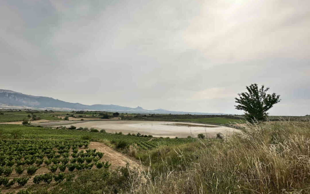 Foru Aldundiak Natura 2000 eremuak lehengoratuko ditu