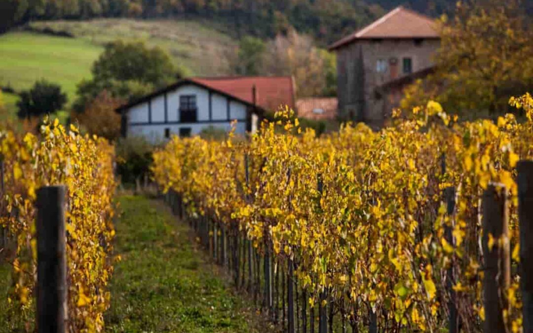 Álava presenta en Oporto de la Ruta del Txakoli de Aiaraldea