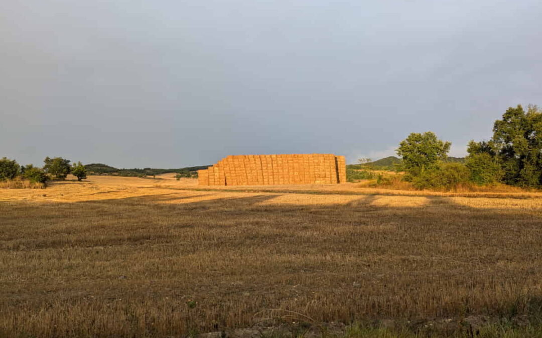 Proyecto piloto de agricultura en Monasterioguren