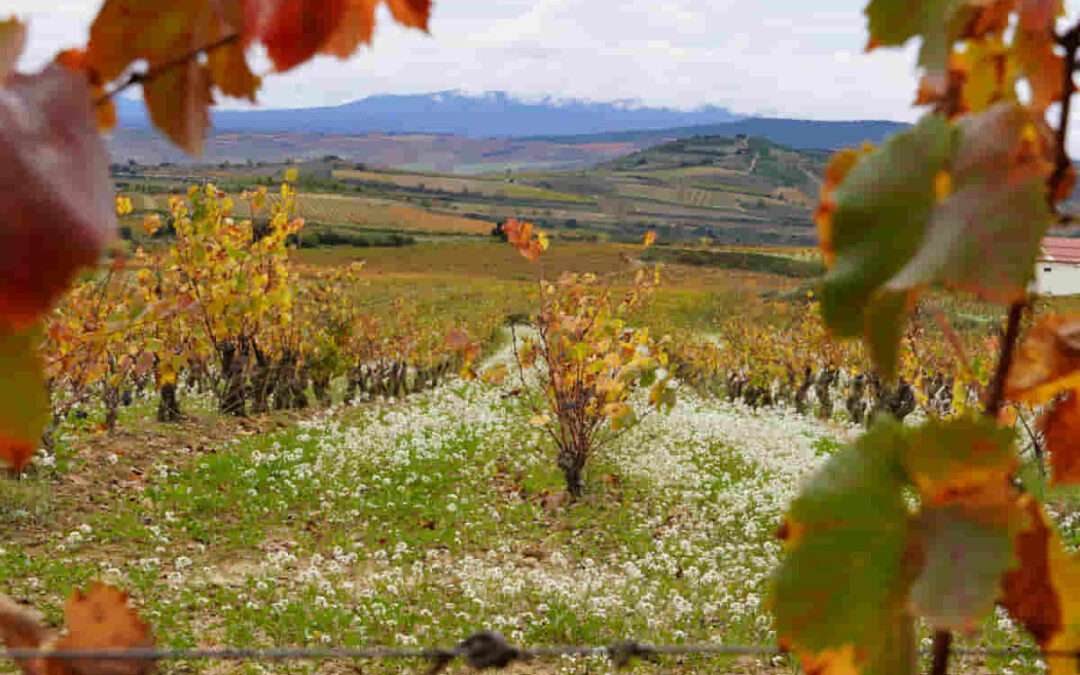 Avanza el regadío de Barriobusto, Labraza y Moreda