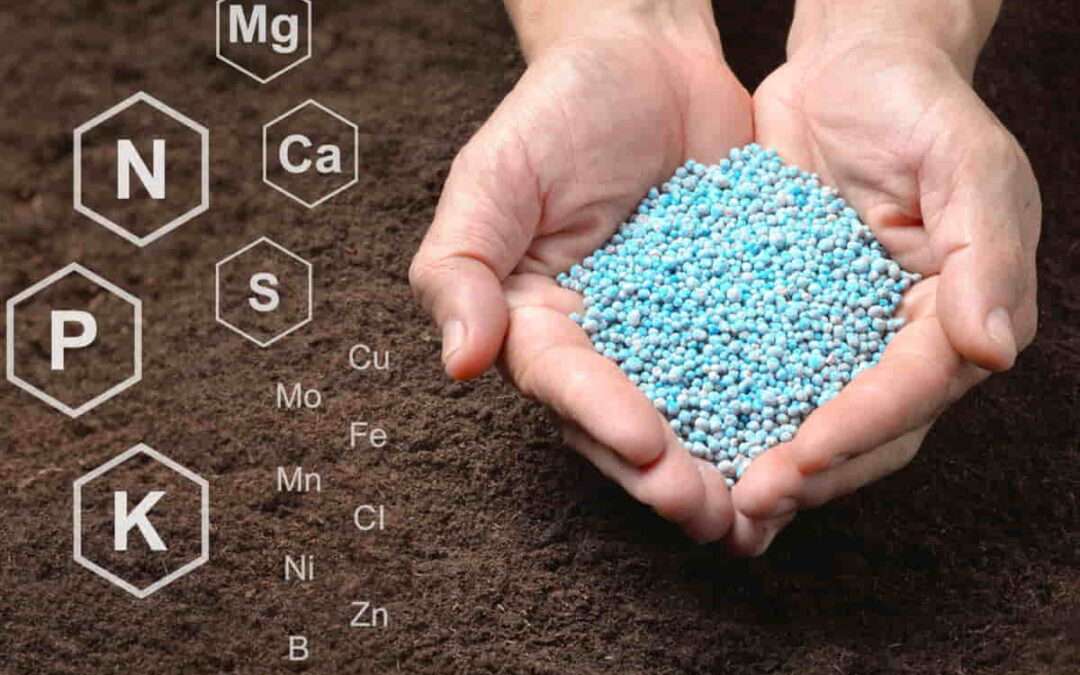 Microalgas cultivadas en Álava para una agricultura sostenible