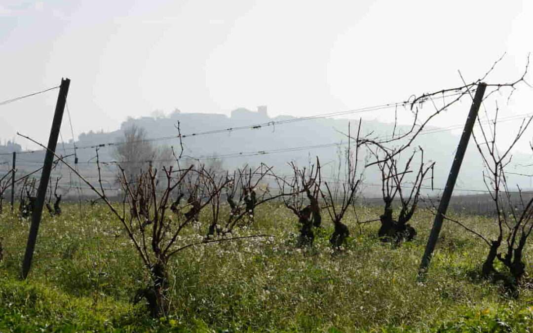 La vivienda y el sector Primario, principales retos de la Álava rural