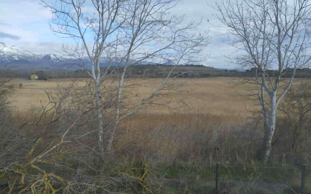 Avanza la recuperación del hábitat en el Prao de la Paúl de Laguardia