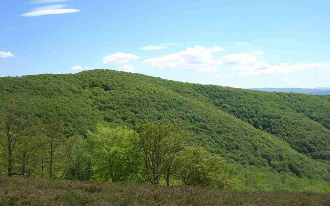 La Diputación rehabilitará el refugio de Arkarai del Gorbea