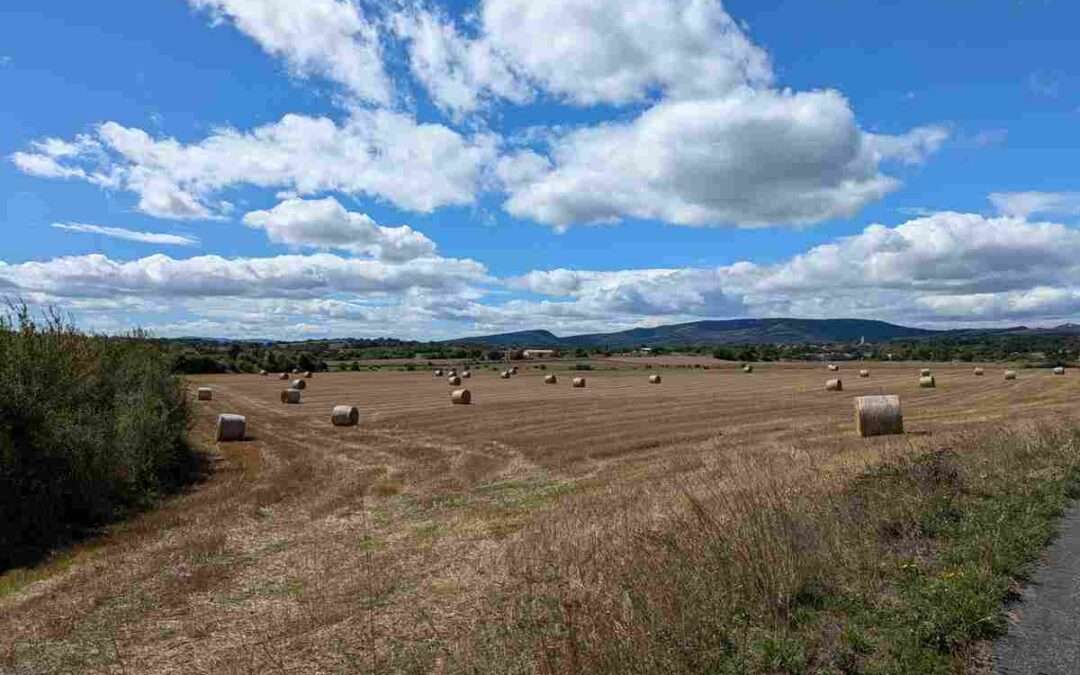 Euskadi reclama más voz y participación para las CCAA en la definición de la próxima PAC