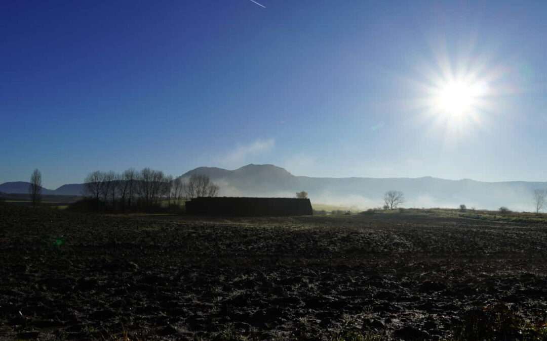 Euskadi es tras Cantabria la comunidad que menos fondos de la PAC recibió en 2024