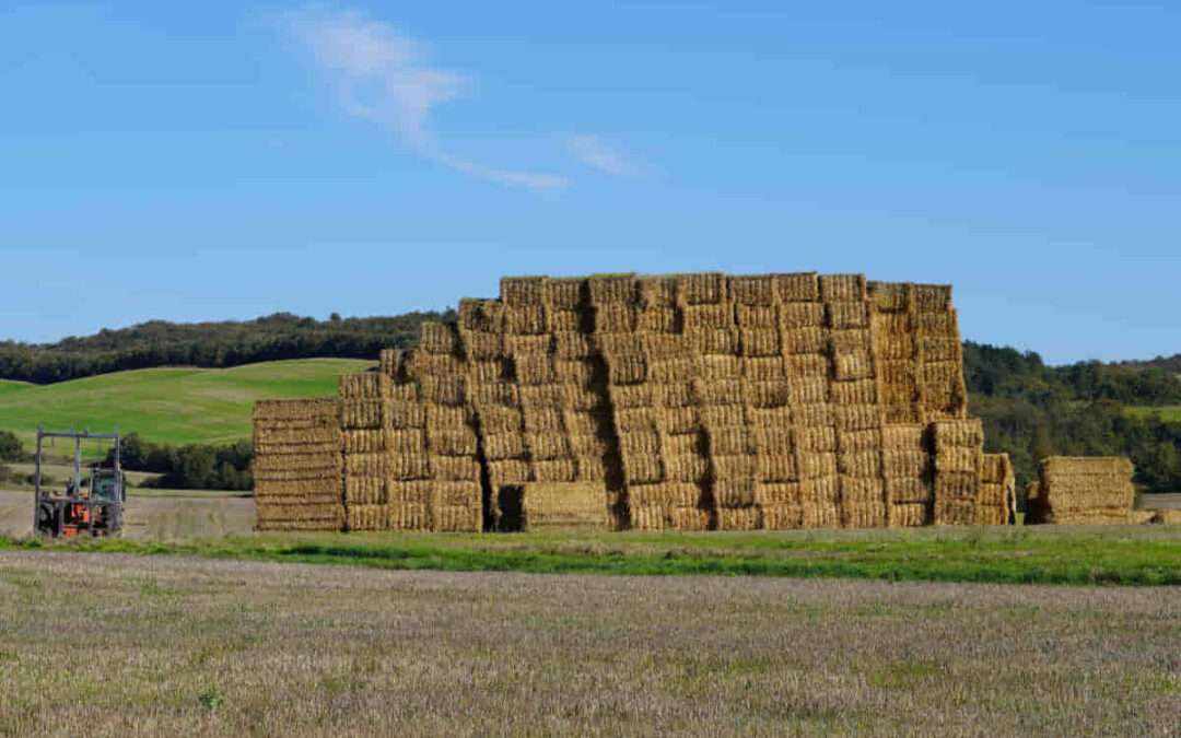 La promoción del desarrollo rural, prioridad europea para este semestre