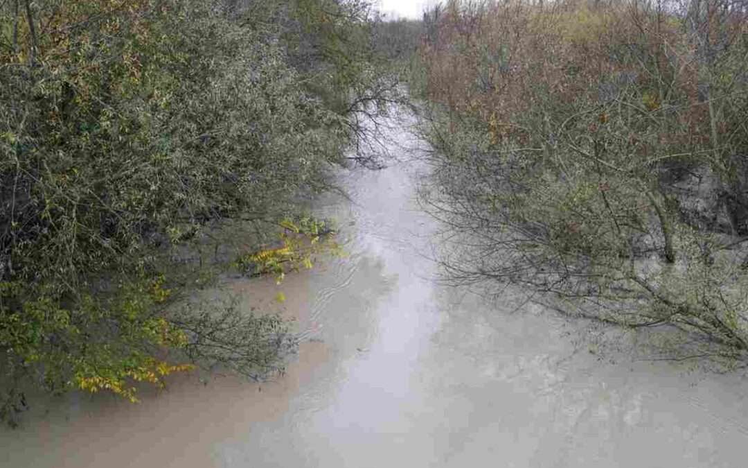 Restauración ambiental en ocho ríos alaveses