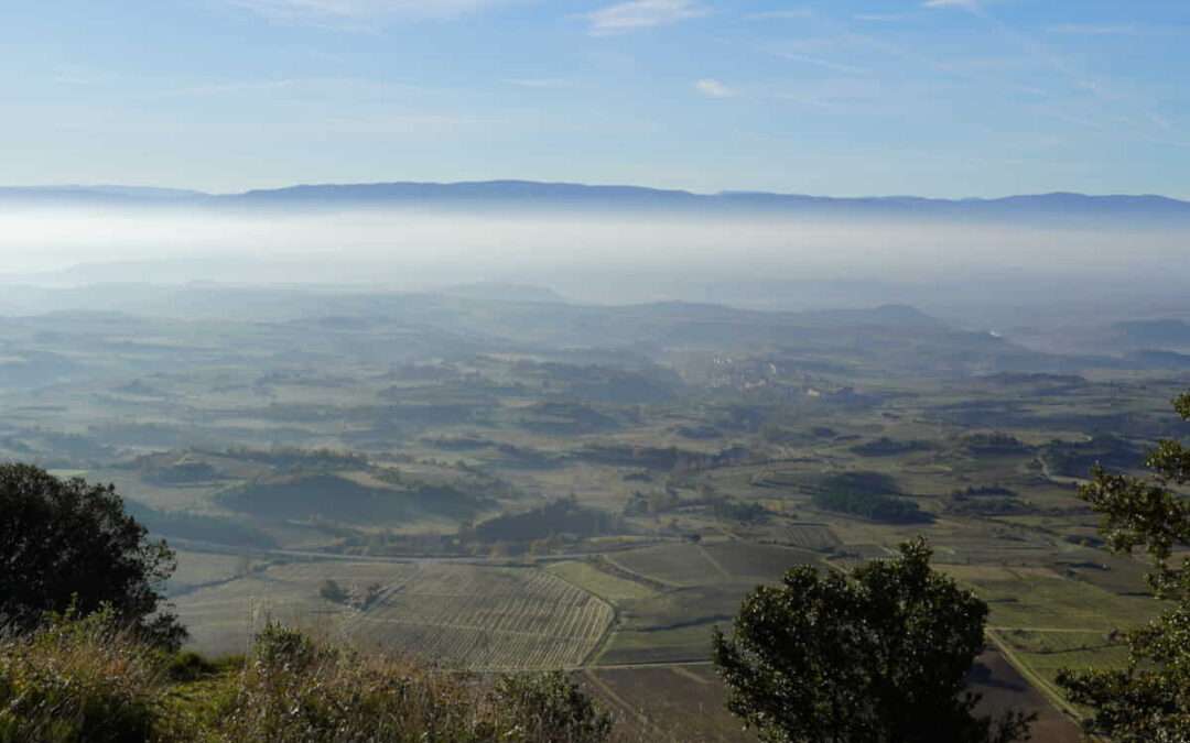 Rioja Alavesa empieza a definir su futuro más allá del vino
