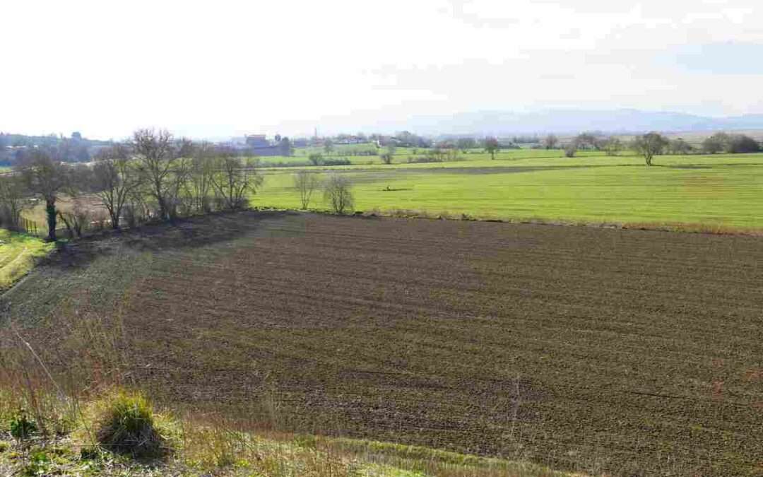 Álava destina 3,7 millones a modernizar las explotaciones agrarias y ganaderas
