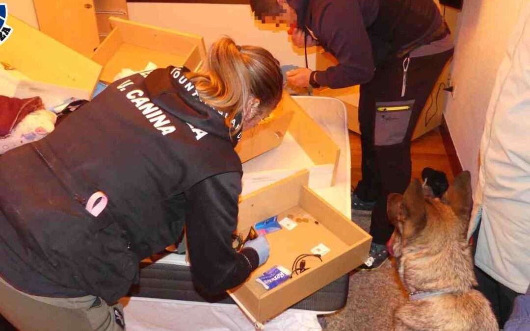 Desmantelada una banda de ladrones de viviendas que operaba en Álava
