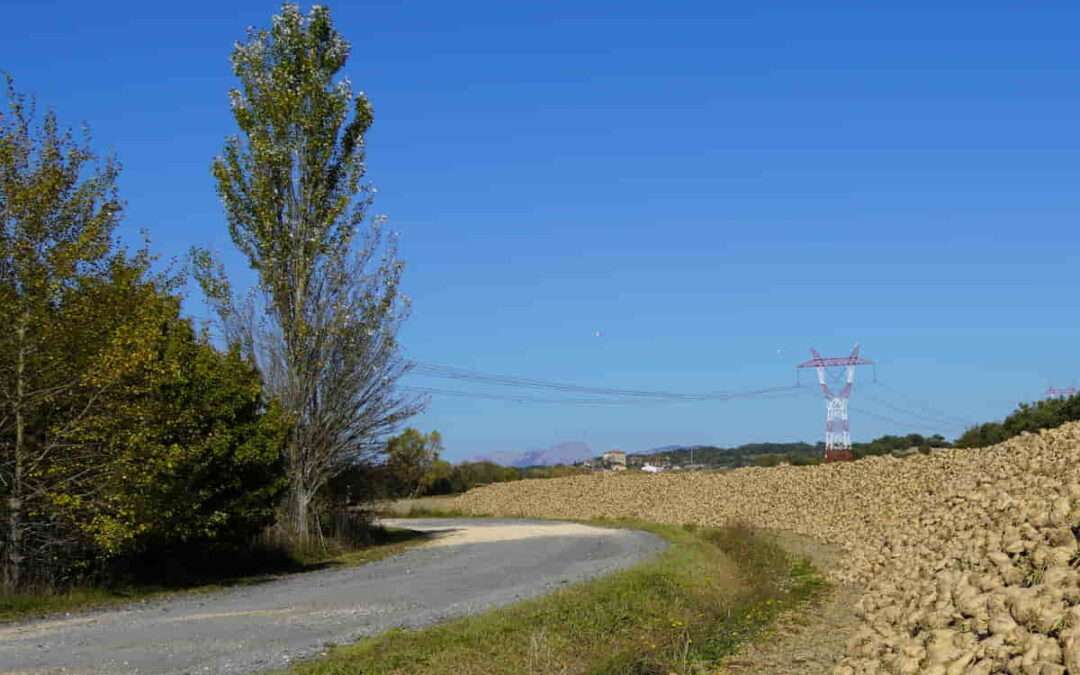 Medio millón para los caminos rurales de Rioja Alavesa y Gorbeialdea