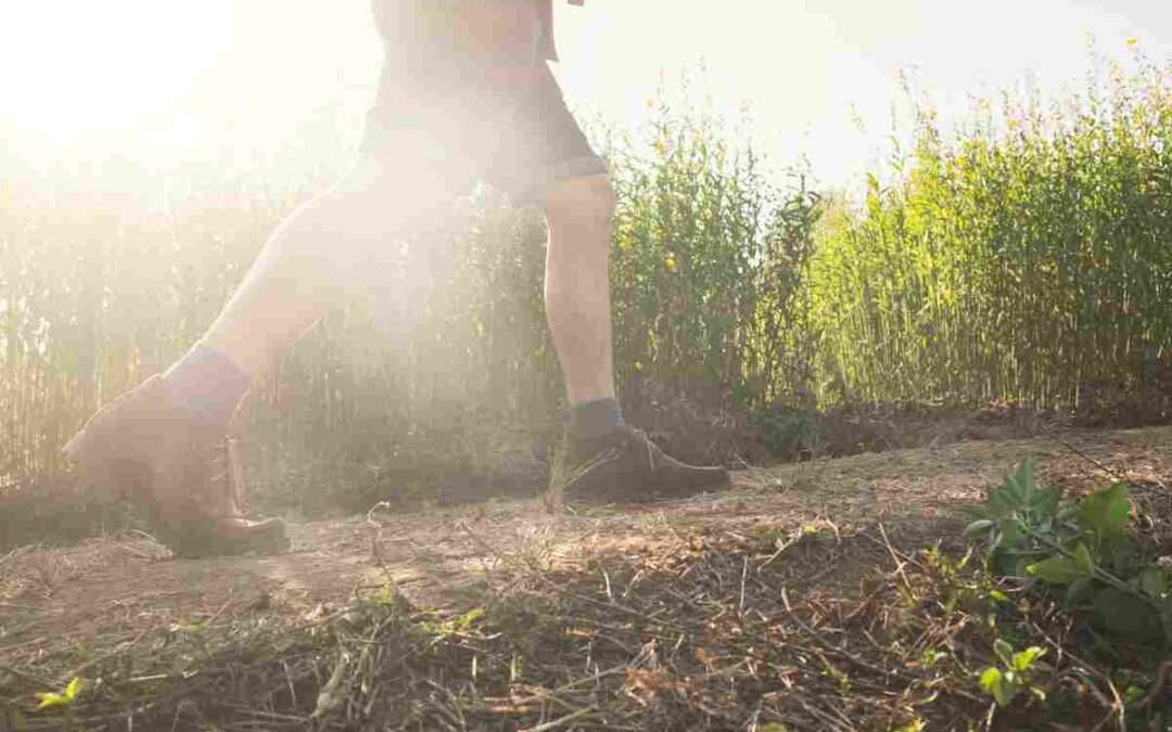 Vente a correr a Oion por una causa solidaria