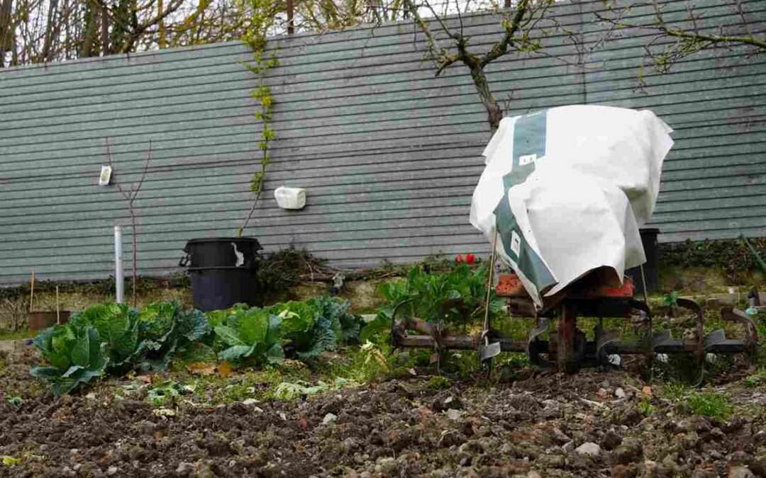 Empieza la primavera; ¡prepara tu huerta!