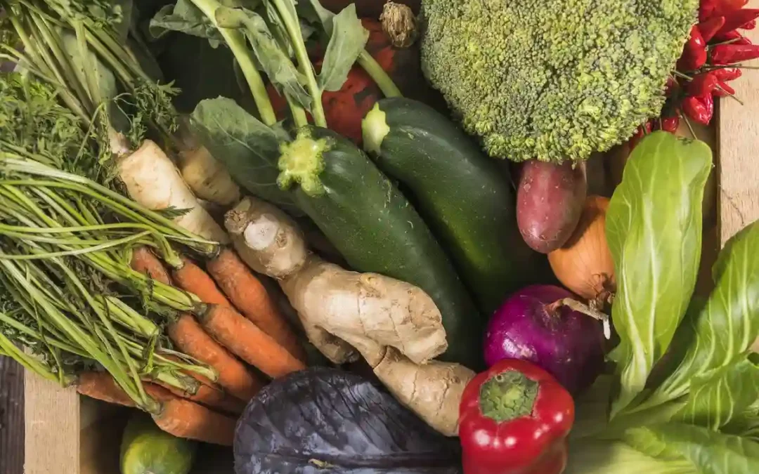Feria ecológica en Gasteiz el 31 de mayo