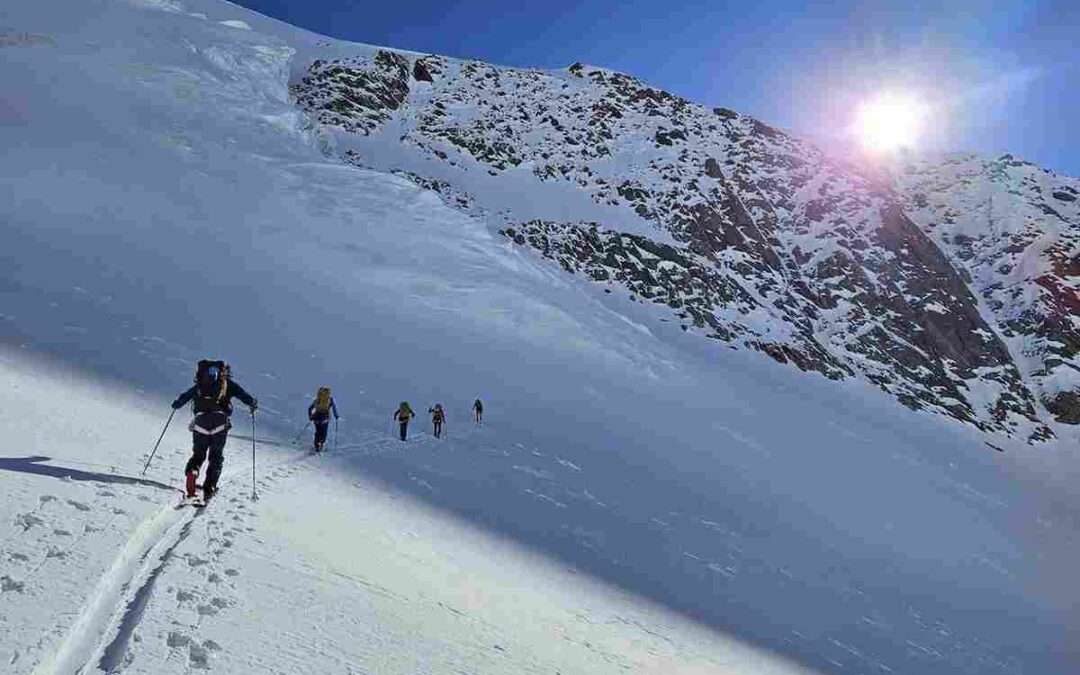 Los Pou dividen fuerzas para sumar preparación