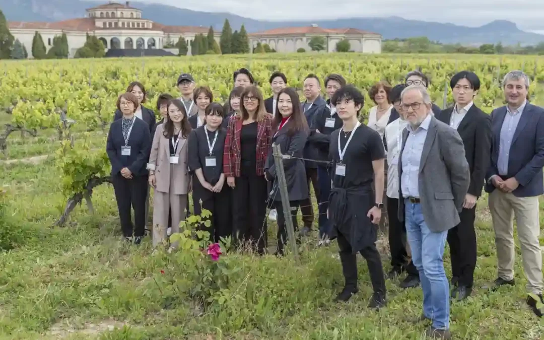 Japón se acerca a Euskadi para conocer nuestros vinos