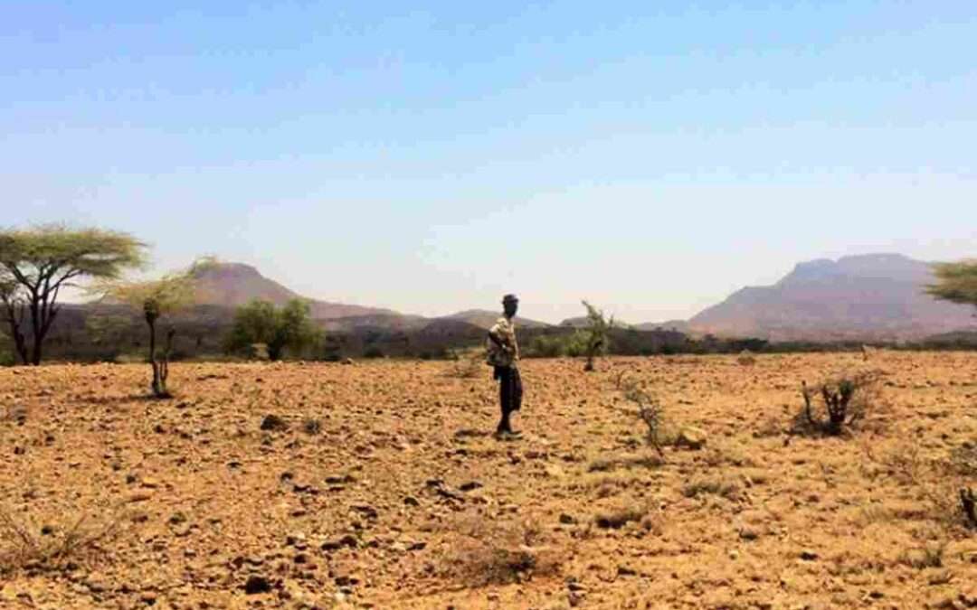 Laguardia se va de fiesta para ayudar a los niños de Kenia