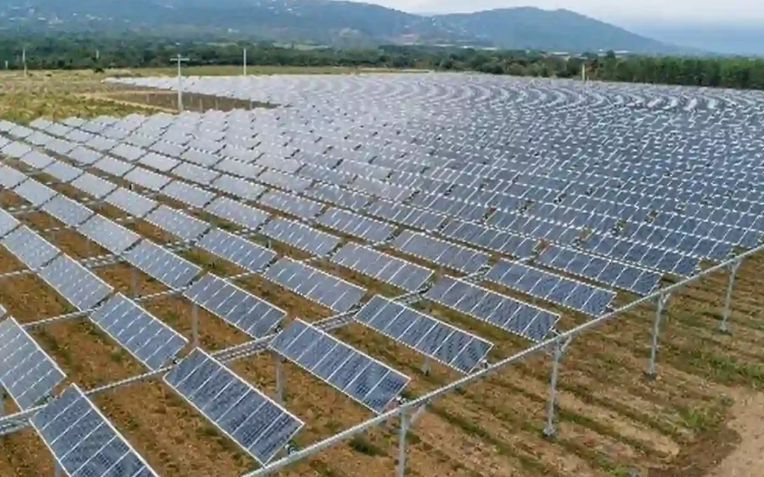 La PAC subvencionará los parques solares si comparten espacio con la agricultura