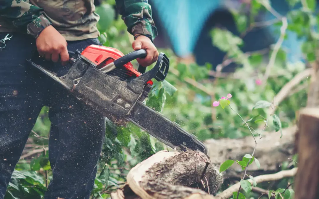 Neiker y Hazi crean una Unidad Mixta Forestal