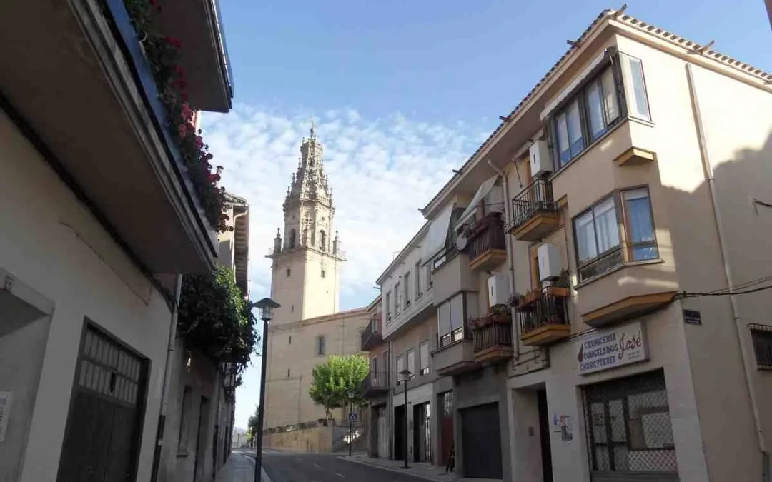 Oion presenta alegaciones a la planta de biogás de Viana