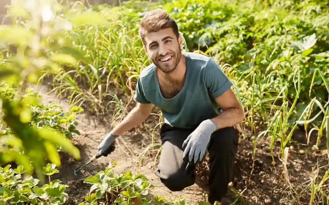 870.000 euros para la incorporación de 18 jóvenes al sector agrario de Álava