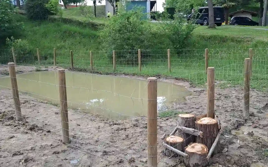 Ayala y Artziniega crean dos charcas para conservar anfibios y fomentar la educación ambiental