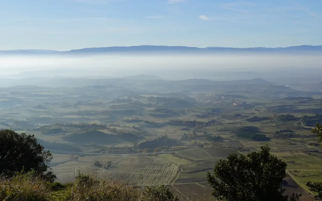 Txoko·A 2025: relevo agrario y cultura en Lanciego