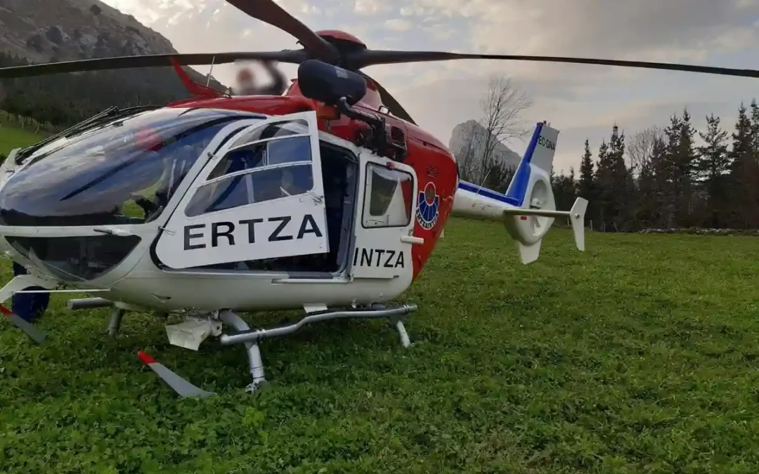 Localizado el cadáver de una mujer en una pista forestal de Barrundia