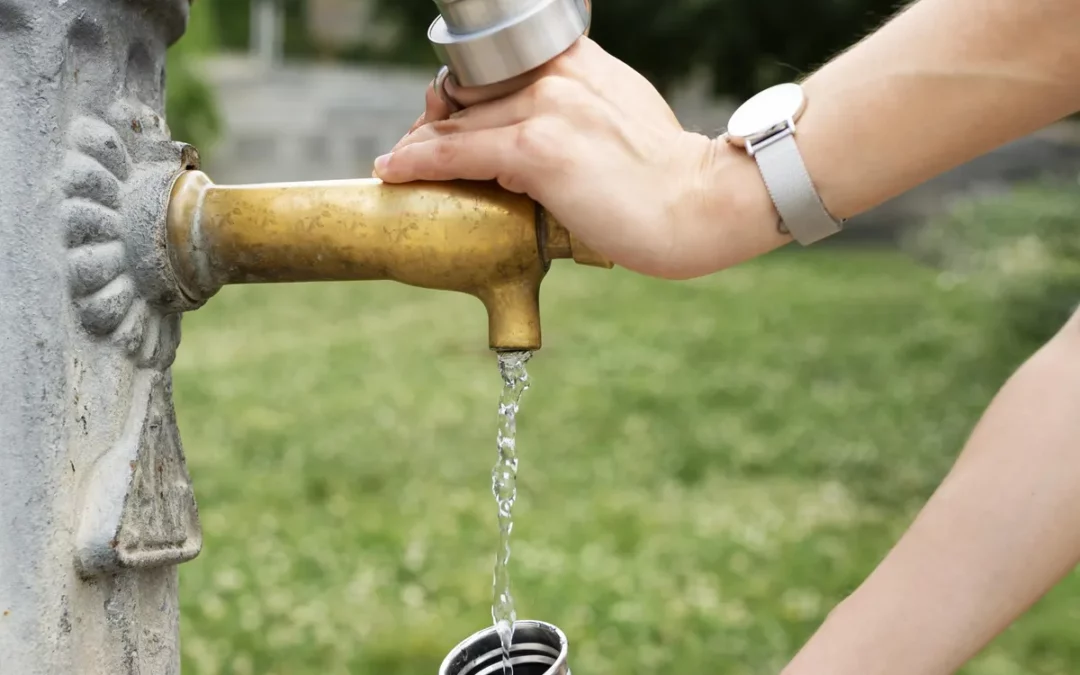 Benetako Green denuncia la falta de acceso al agua pública durante el verano en Vitoria