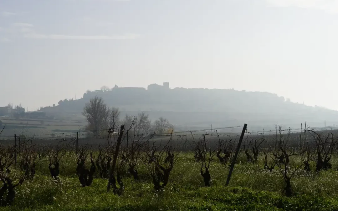 El Gobierno Vasco abre una oficina permanente en Rioja Alavesa