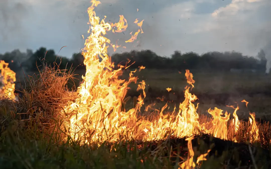 Álava formará en incendios forestales a agricultores y juntas administrativas