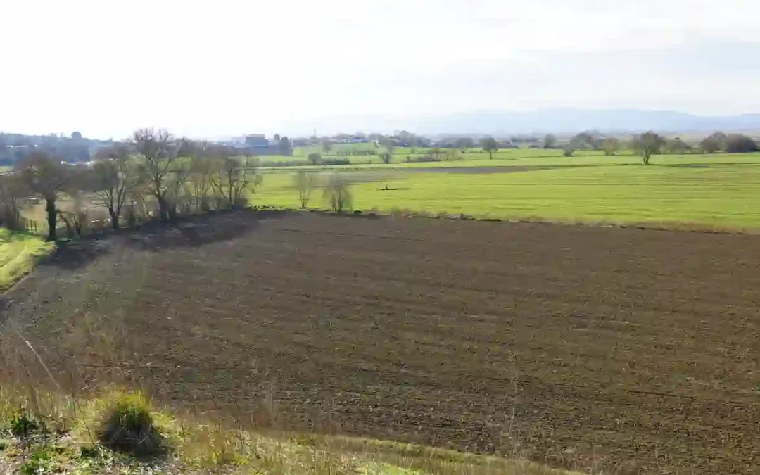 Comienza la campaña de seguros agrarios 2025 en Araba