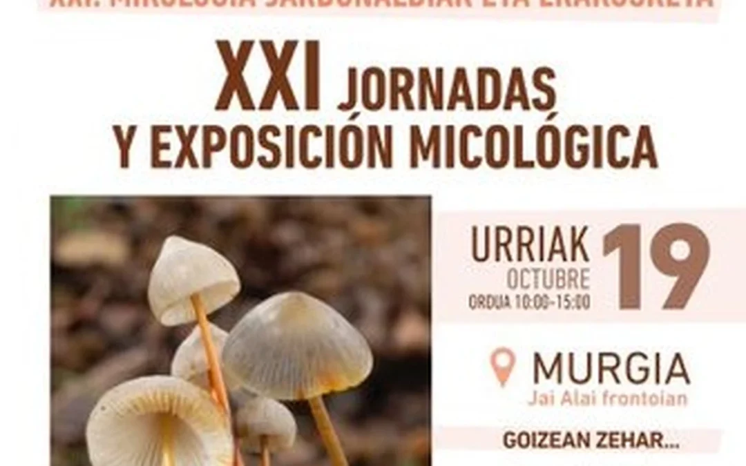 Murgia celebra el domingo su XXI Jornada y Exposición Micológica