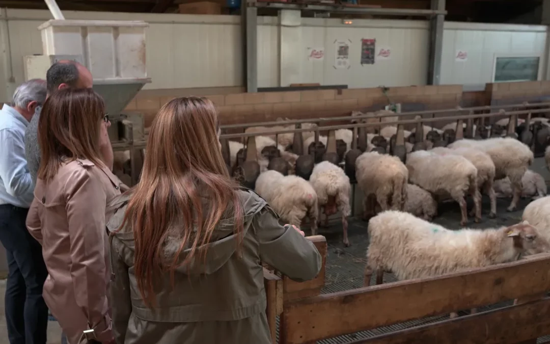 Tres jóvenes alaveses inician el curso en la nueva etapa de la Escuela de Pastores de Arantzazu
