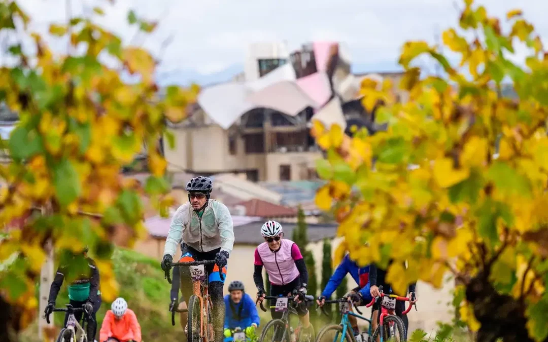 Todo listo en Rioja Alavesa para la Orbea Gravel 2025