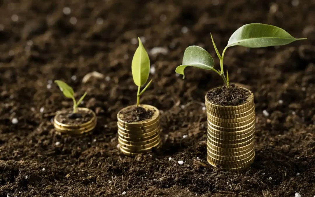 Talleres prácticos sobre gestión económica agraria en las cuadrillas alavesas