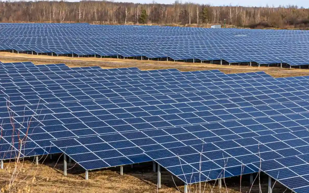 UAGA presenta alegaciones a la planta solar fotovoltaica Asparrena