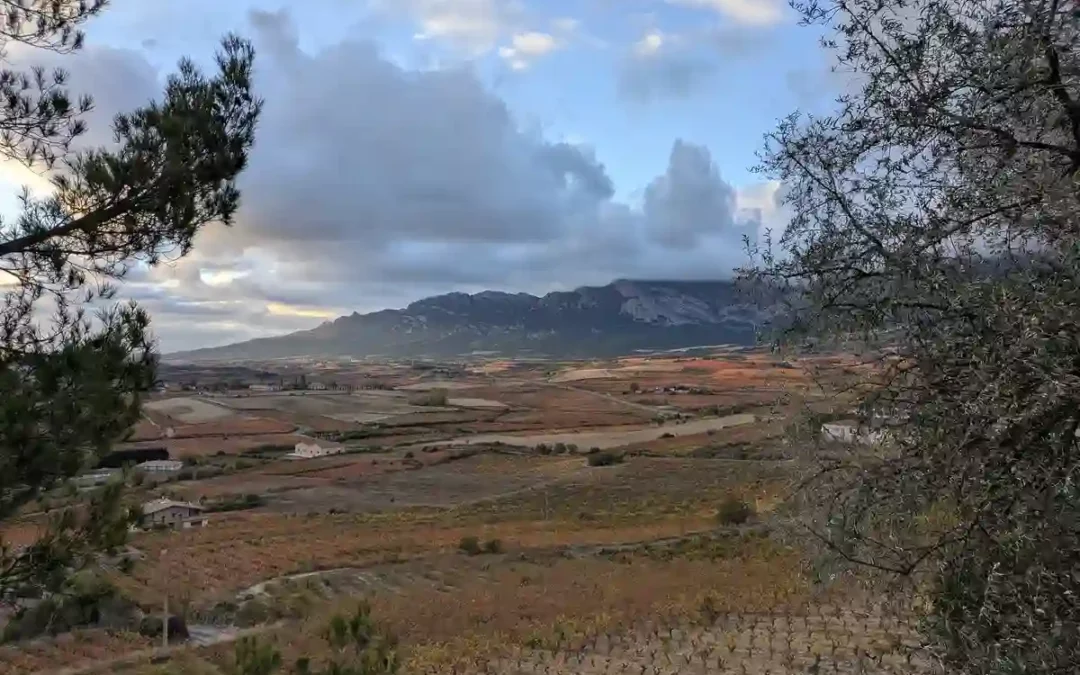 El PSE plantea en el Senado impulsar el relevo generacional en Rioja Alavesa