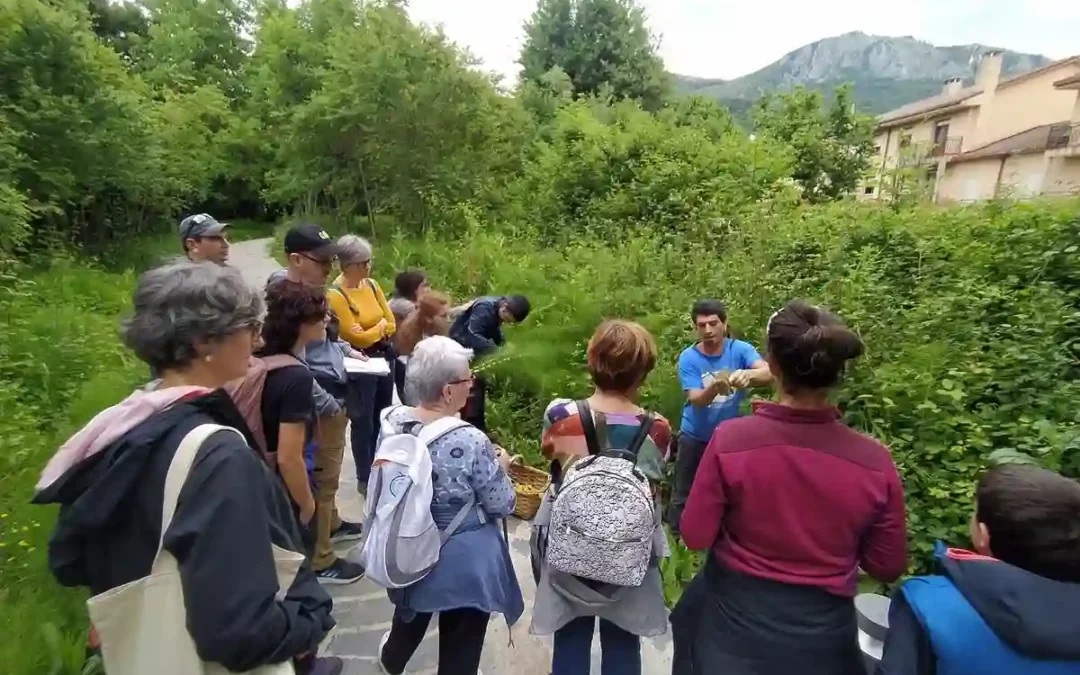 Más de 6.000 escolares participaron en 2025 en las actividades de educación ambiental de la Diputación de Álava