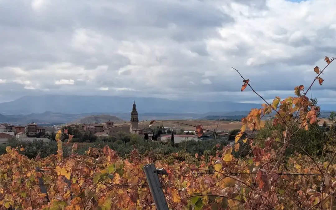 Hazi organiza curso sobre mildiu en Rioja Alavesa