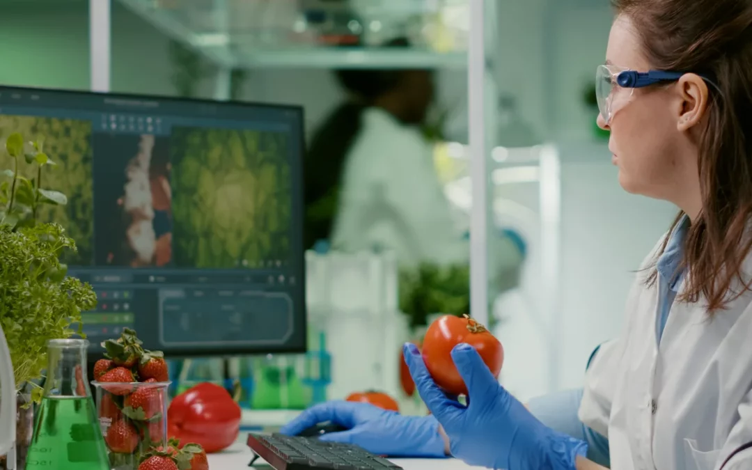 Euskadi amplía a 19 los programas de control de la cadena agroalimentaria para cumplir las exigencias de la UE