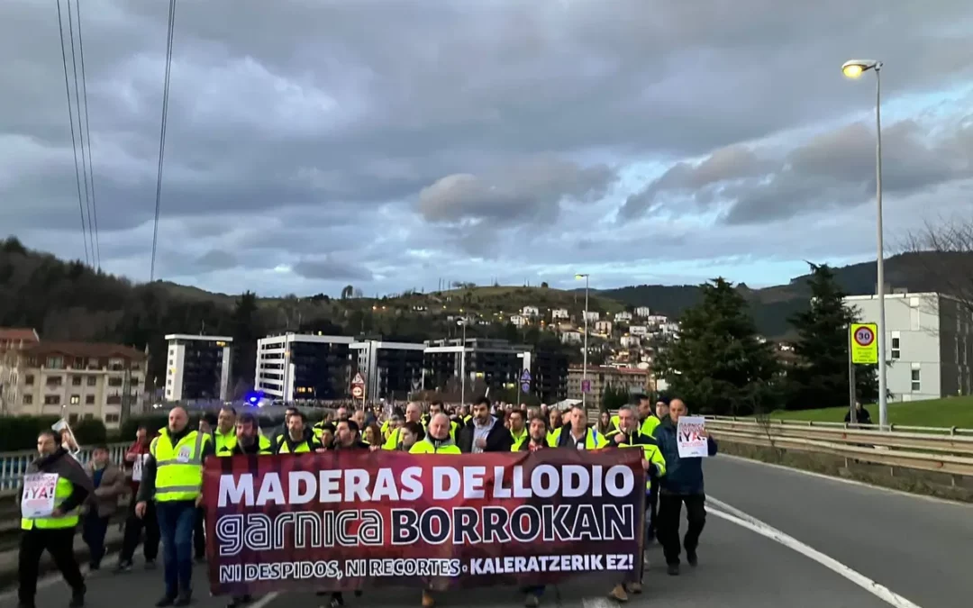 El TSJPV echa atrás el ERE de Maderas de Llodio