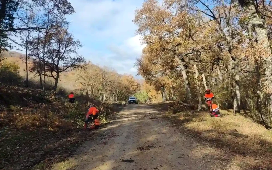 Adjudicada la redacción del Plan contra incendios forestales de Araba