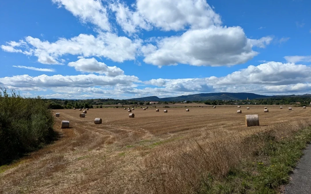 Álava destina 1,5 millones a ayudas para jóvenes agricultores