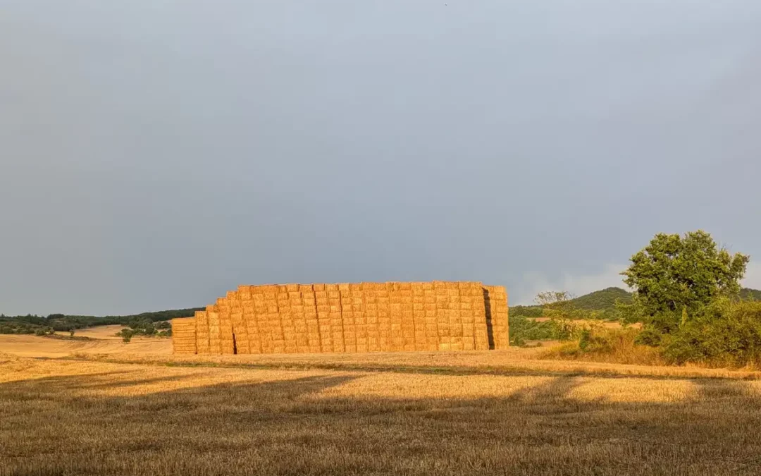 La Diputación alavesa aprueba ayudas de 3 millones para explotaciones agrarias