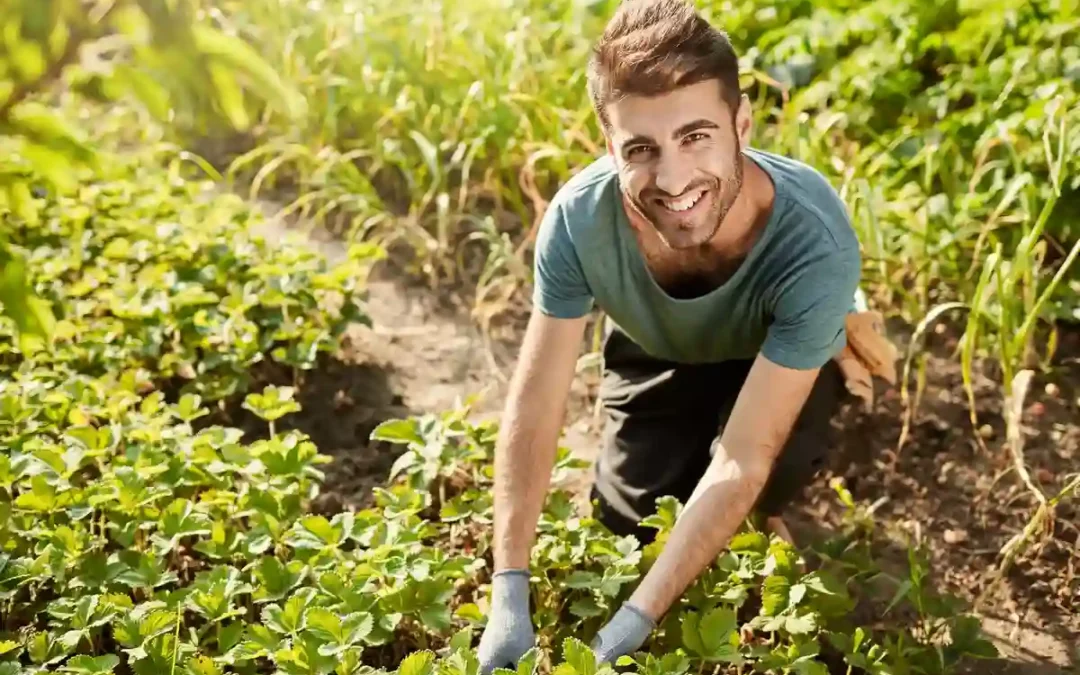 En marcha la Oficina de Intermediación para el Relevo Generacional Agrario