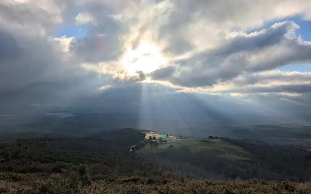 El Plan de Ayudas Forestales destina 1,7 millones a la conservación y protección de los montes de Araba