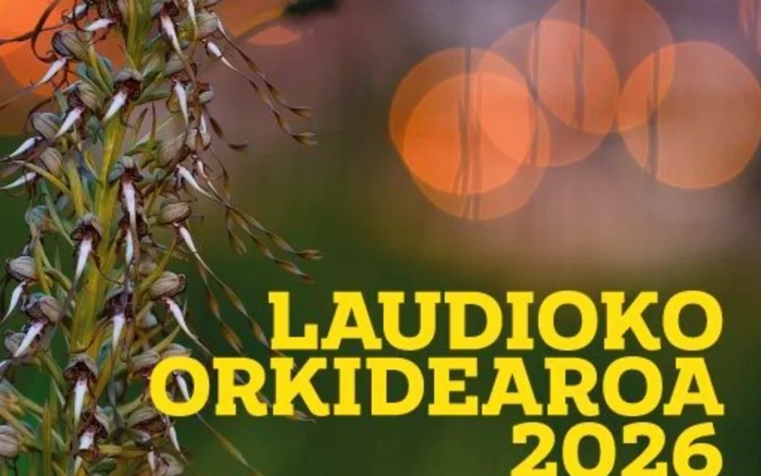 Laudio divulga un año más el valor de sus orquídeas silvestres